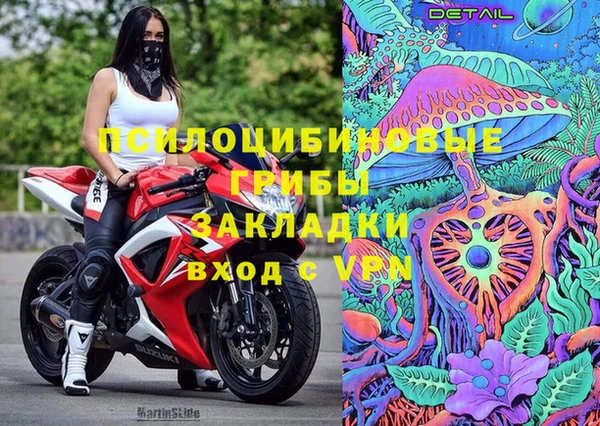 МДМА Белокуриха